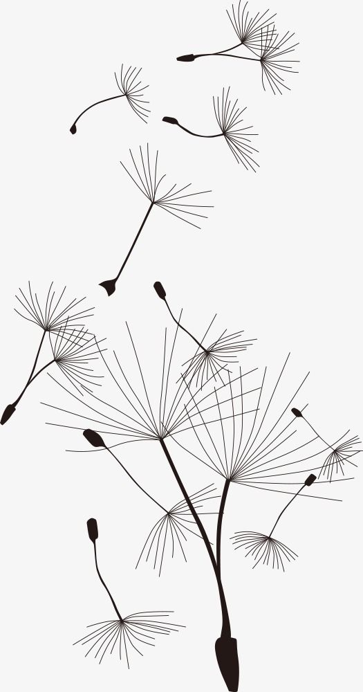 525x1000 Wind Vector Dandelion, Dandelion, Cartoon Dandelion, Black