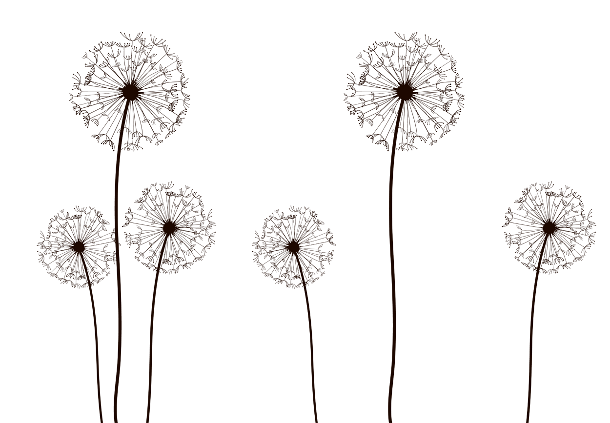1250x867 Vector Dandelion Vector