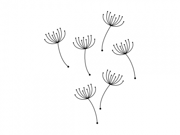 600x450 Dandelion Blowball Seeds Minimal Tattoo Vector T Shirt Design