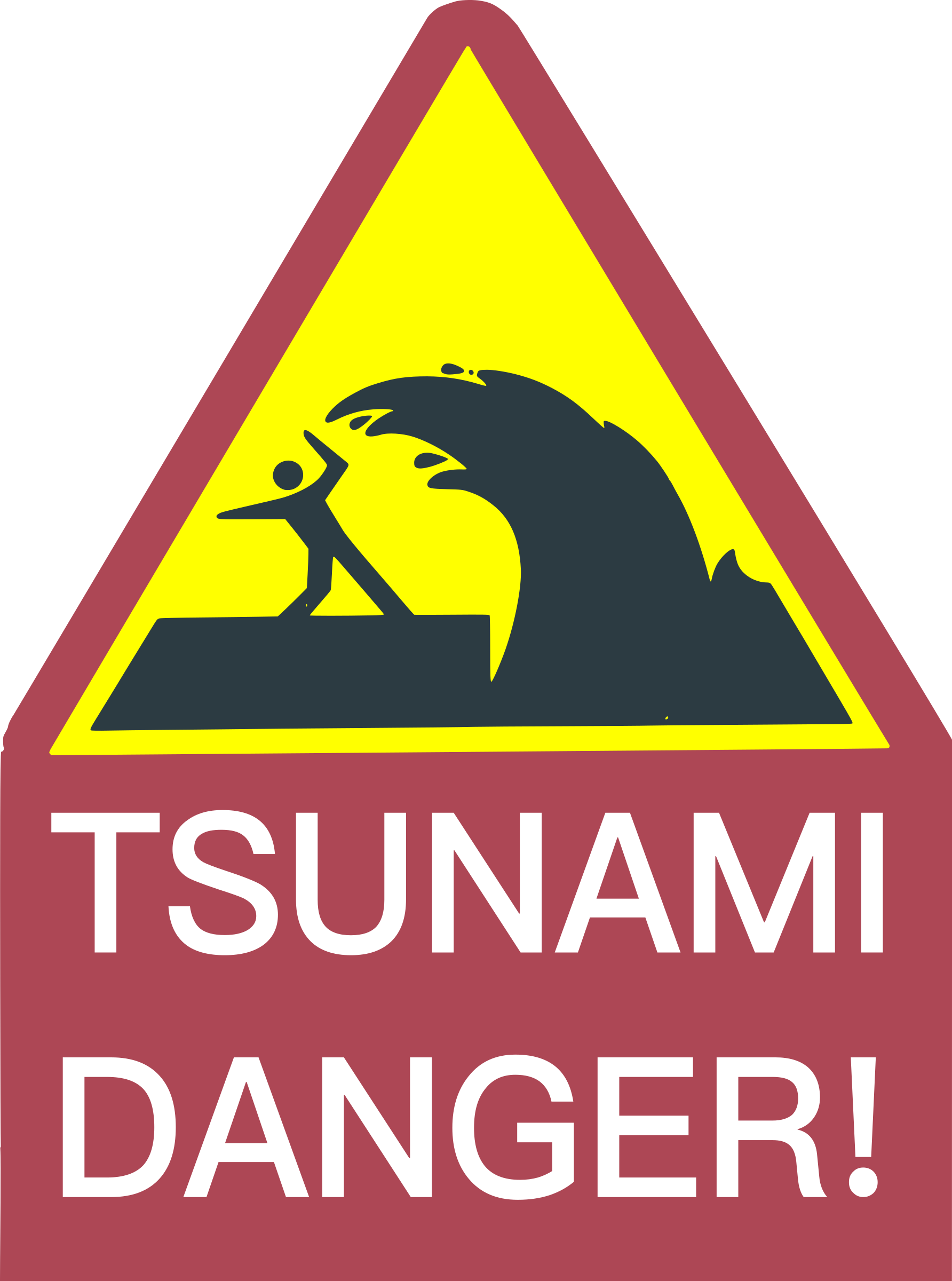 1784x2400 Tsunami Danger Vector Image
