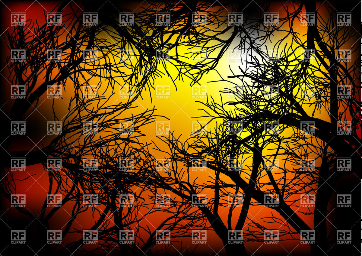 1200x847 Dark Forest On The Sunset Vector Image Of Backgrounds, Textures