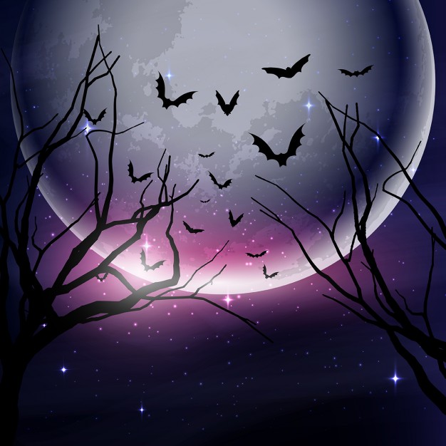 626x626 Dark Forest With A Full Moon For Halloween Vector Free Download
