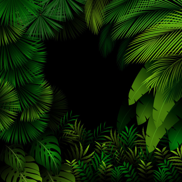 626x627 Exotic Pattern With Tropical Leaves On Dark Forest Vector