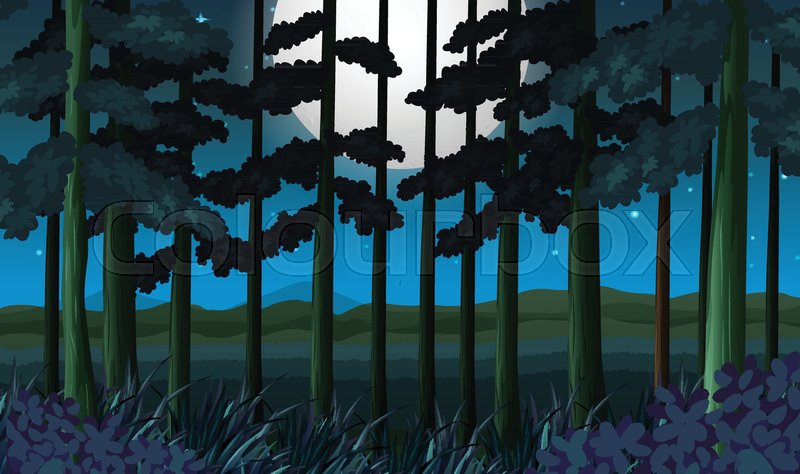 800x474 A Dark Forest