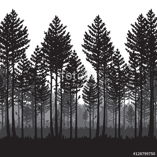 500x500 Vector Pine Forest Landscape Beautiful Hand Drawn Illustration