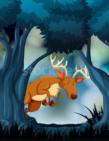 462x600 A Deer In Dark Forest Vector Illustration Daniel Cole