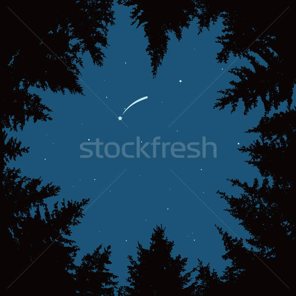 600x600 Vector Night Sky With Stars And Dark Forest Trees Vector