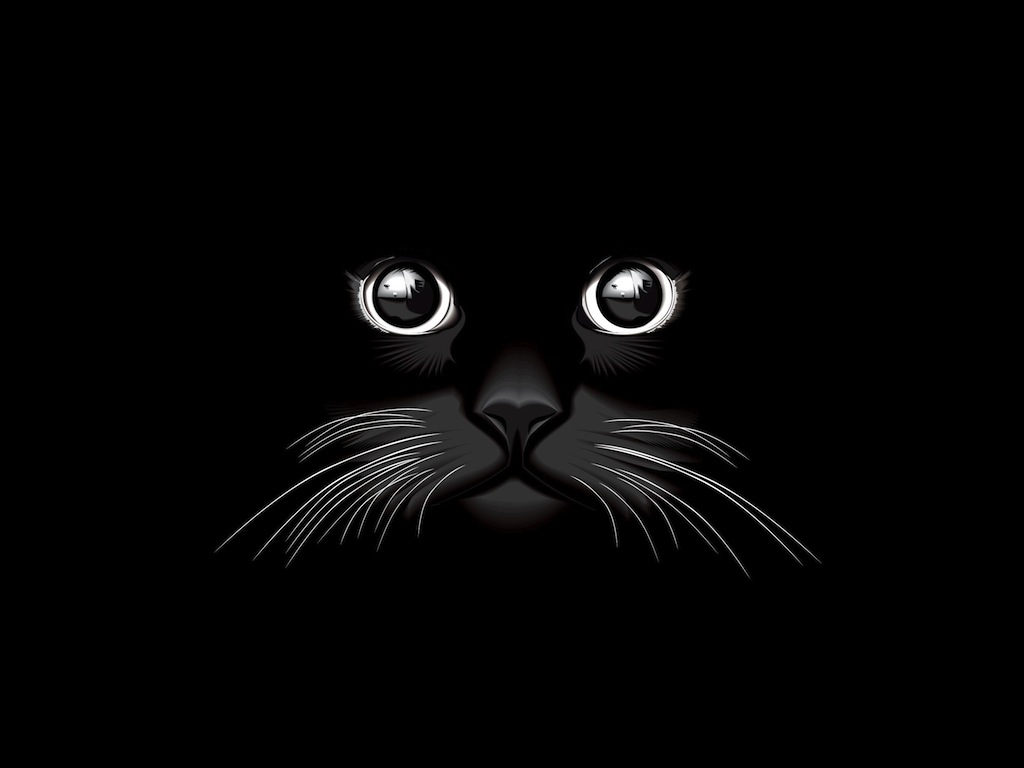 1024x768 Black Cat Vector Free Vectors Ui Download