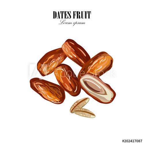 500x500 Dates With Palm Leaves On White Background Vector Illustration
