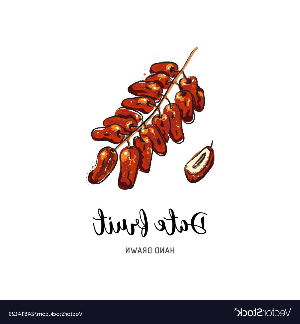 1000x1080 Hd Dates Fruit Vector Library Vector Images Design