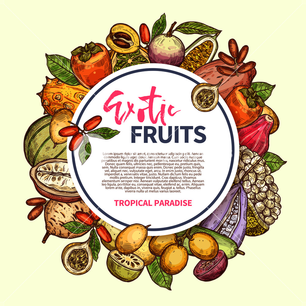 Tropical Berries And Exotic Fruits Vector Frame Kiwano, Persimmon 1000x1000 Tropical Berries And Exotic Fruits Vector Frame Kiwano, Persimmon