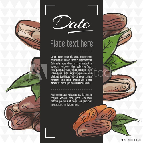 Date Fruit Vector Menu Design Templates Vector Fruit Illustration 500x500 Date Fruit Vector Menu Design Templates Vector Fruit Illustration