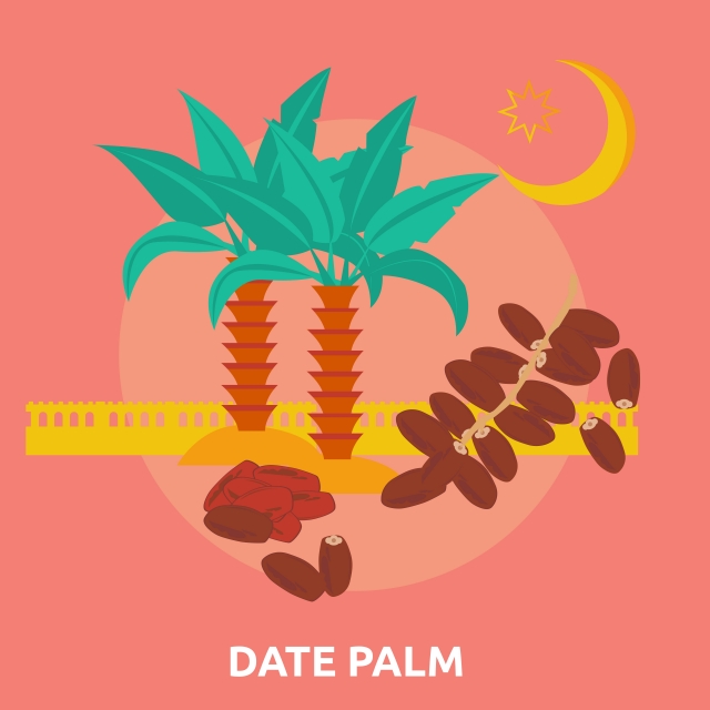 Date Palm Conceptual Icon, Icon, Banner, Beautiful Png And Vector 640x640 Date Palm Conceptual Icon, Icon, Banner, Beautiful Png And Vector