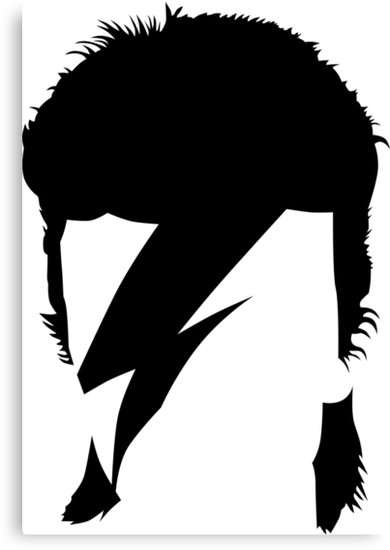 390x550 David Bowie Canvas Print