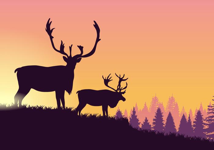 Caribou At Dawn Vector 700x490 Caribou At Dawn Vector