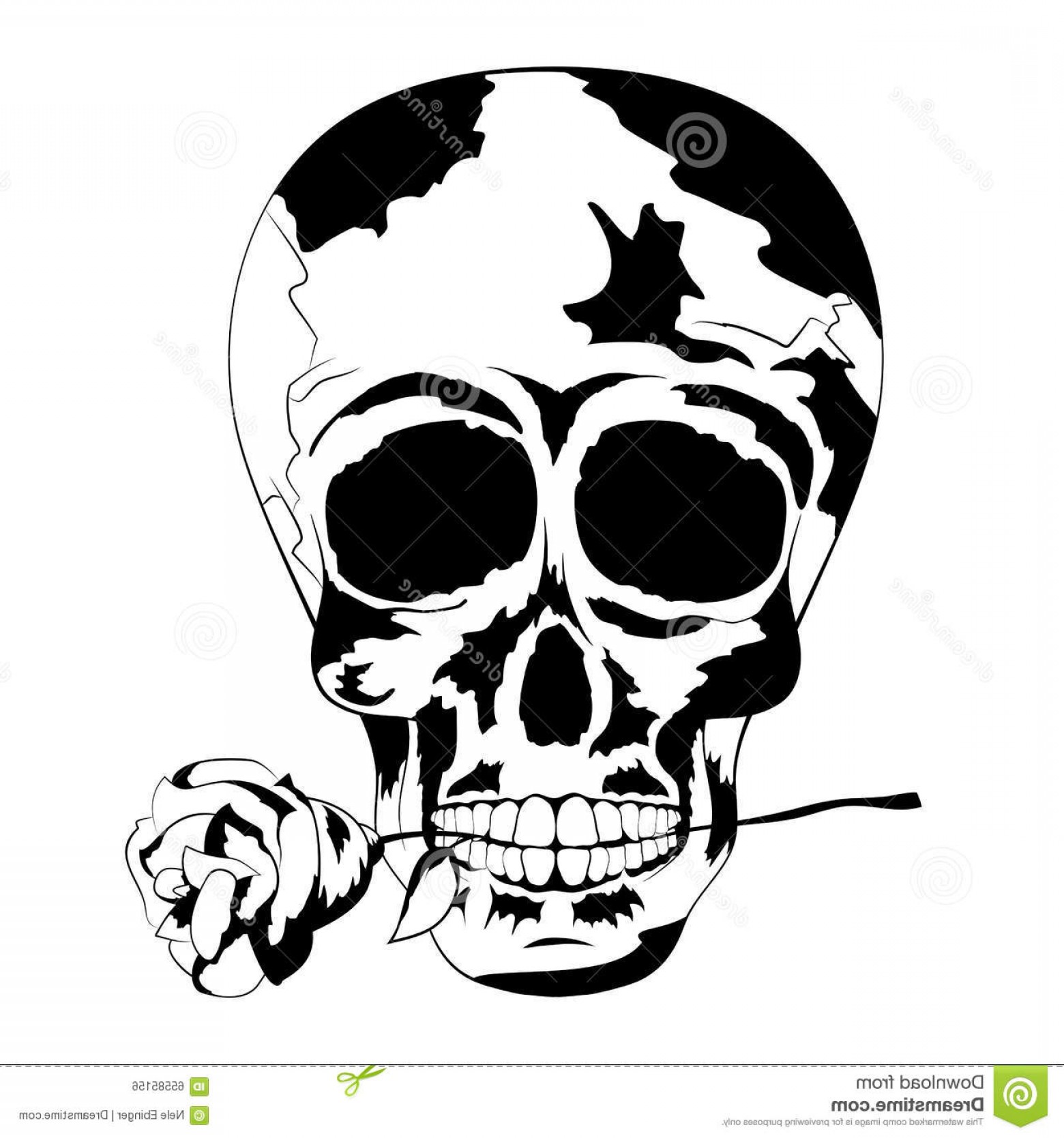 Stock Illustration Black White Human Skull Rose Mouth Tattoo Skull 1560x1668 Stock Illustration Black White Human Skull Rose Mouth Tattoo Skull