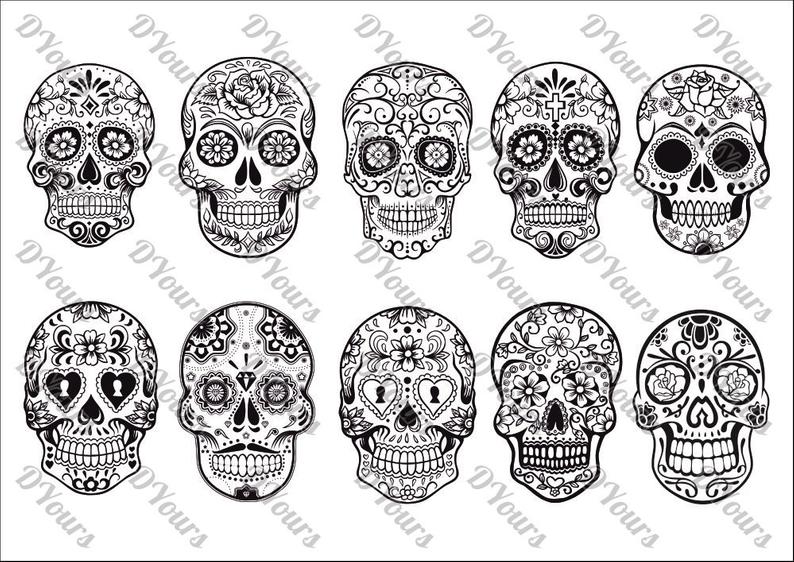 Sugar Skulls Mexican Day Of The Dead Skull Vector Etsy 794x562 Sugar Skulls Mexican Day Of The Dead Skull Vector Etsy