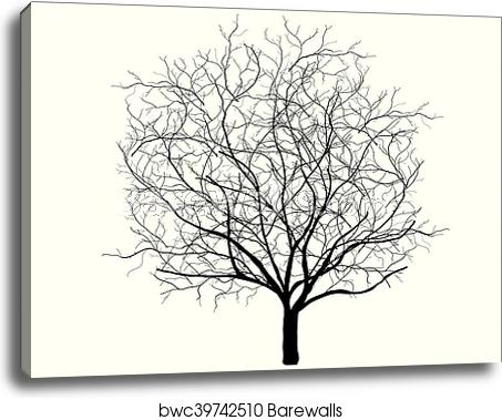 453x379 Dead Tree Silhouette Vector Old Dry Oak Crown Without Leafs