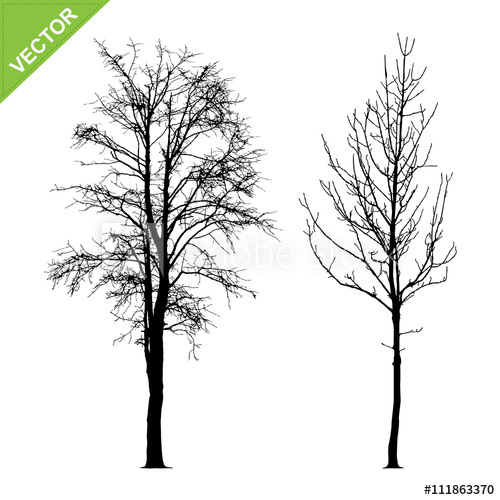 500x500 Dead Tree Silhouettes Vector