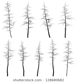 260x280 Dead Pine Tree Silhouette