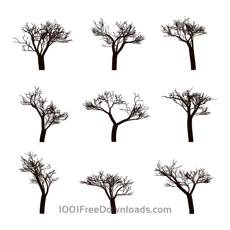 800x800 Free Vectors Dead Trees Silhouettes