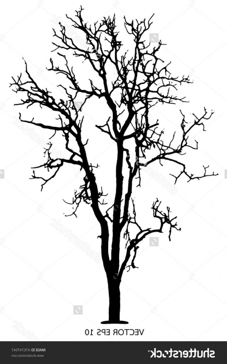 Dead Tree Silhouette Vector at Vectorified.com | Collection of Dead ...