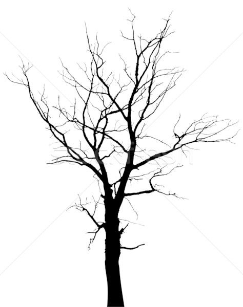 474x600 Trees In Picture Tree, Tree Silhouette