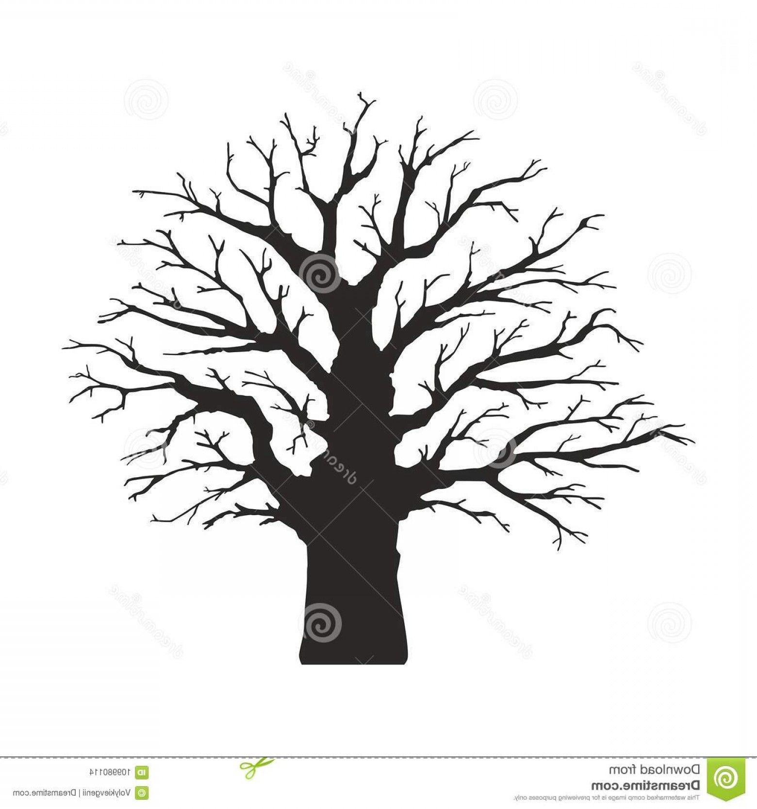 1560x1668 Dead Tree Silhouette Vector Old Dry Crown Leafs Isolated White