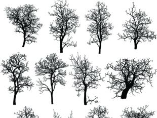 310x233 Dead Tree Vector Free Vectors Ui Download