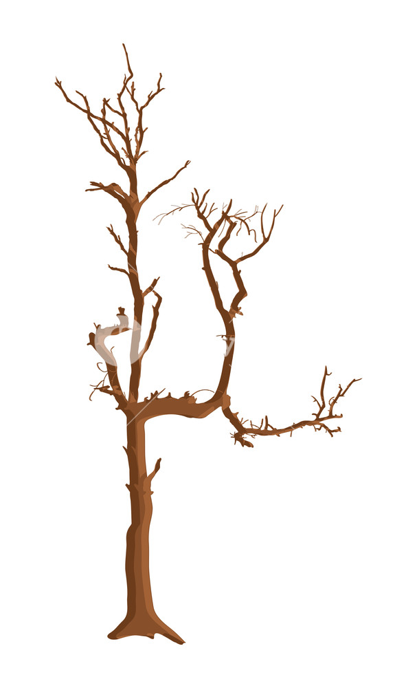 607x1000 Dead Tree Vector Design Royalty Free Stock Image