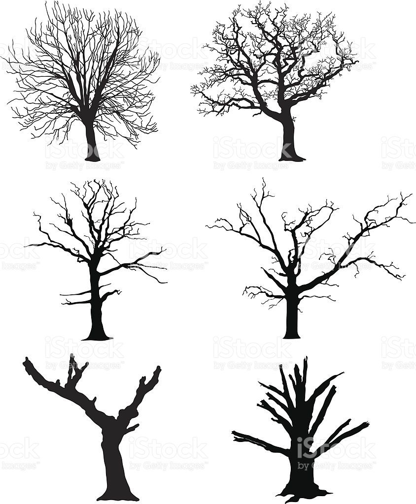 Dead Tree Vector at Vectorified.com | Collection of Dead Tree Vector ...