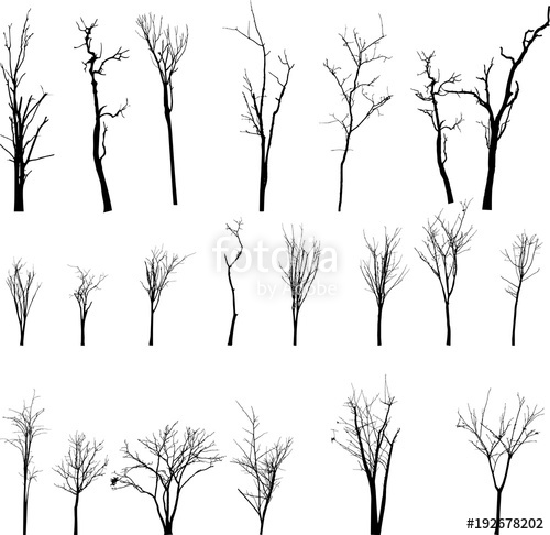 500x486 Dead Tree Without Leaves Vector Stock Image And Royalty Free