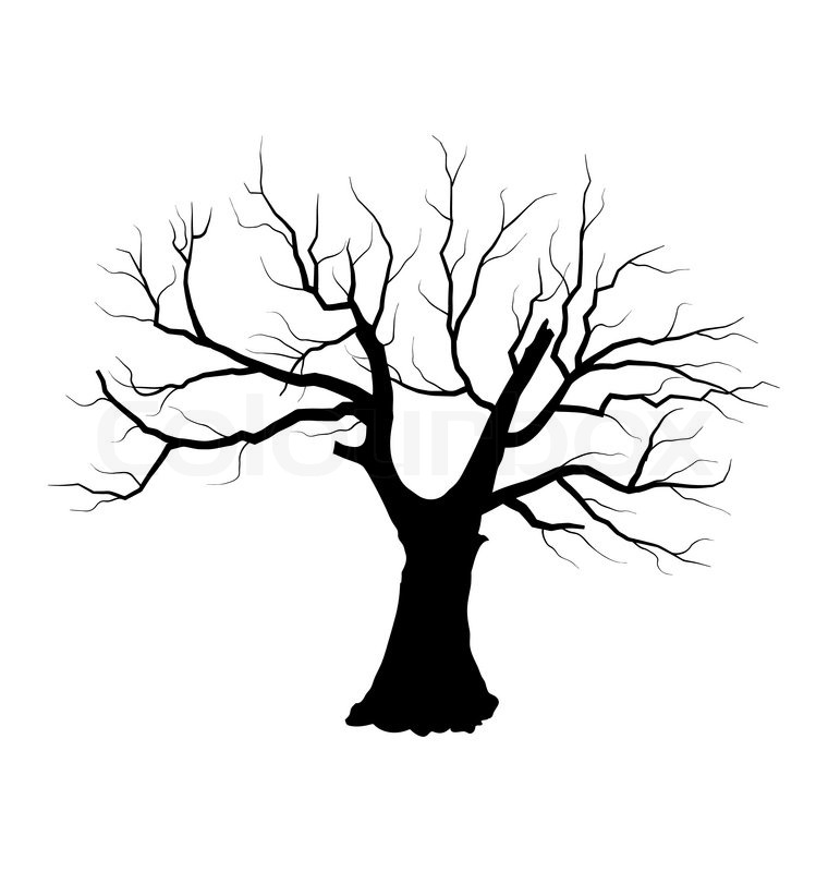 760x800 Illustration Sketch Of Dead Tree Stock Vector Colourbox