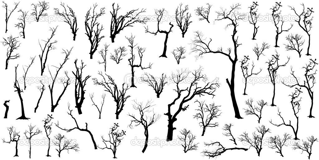 1023x515 Large Collection Of Dead Trees Silhouettes Set Stock Vector