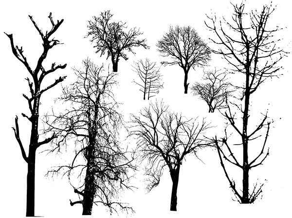 600x448 Tree Themed Design Resources