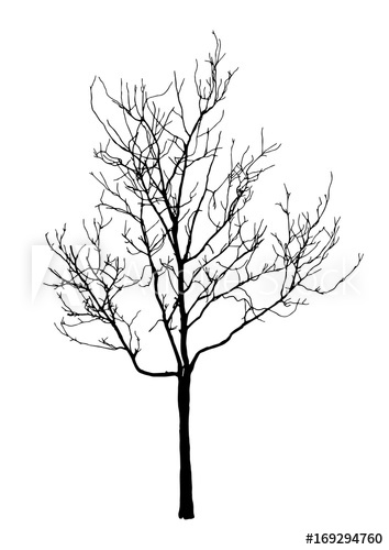 354x500 Silhouette Of Realistic Dead Tree For Halloween Decoration
