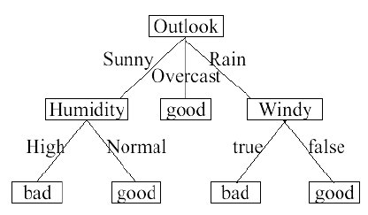 Decision Tree Vector at Vectorified.com | Collection of Decision Tree ...