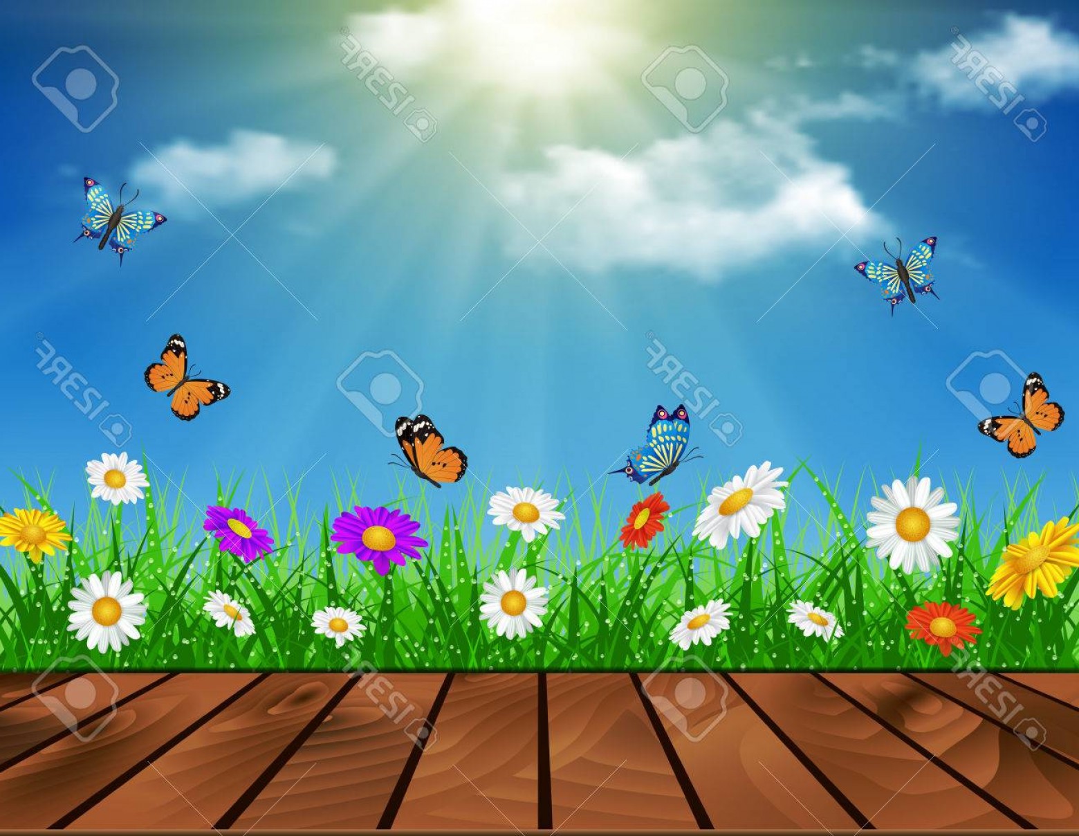 1560x1208 Photostock Vector Wooden Deck In Front Of Green Grass Daisy Vector