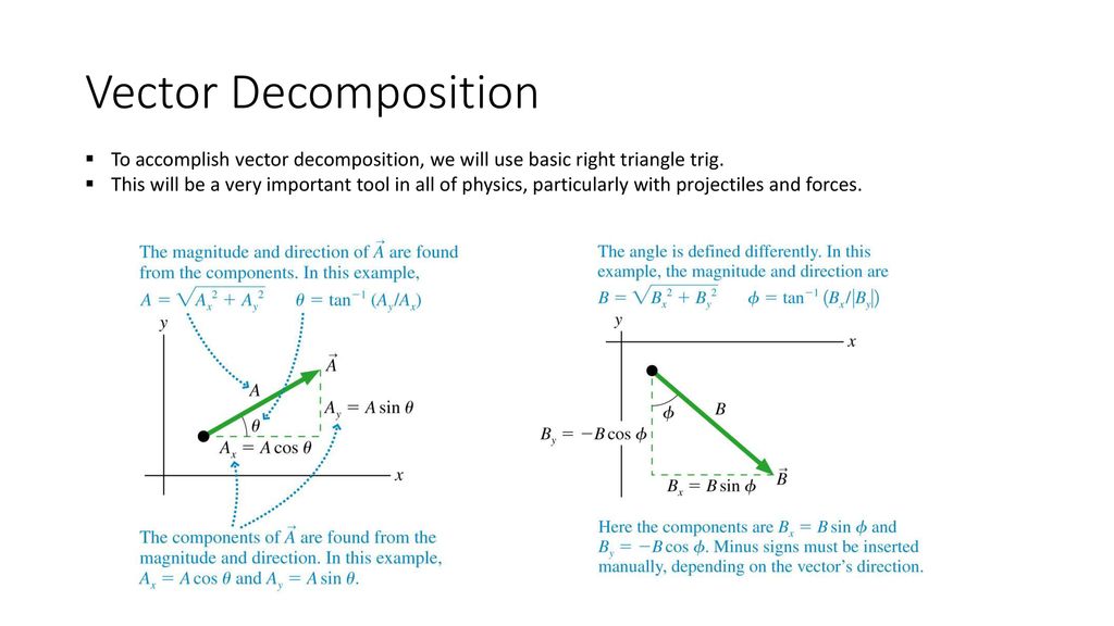 Decomposition Of A Vector At Collection Of Decomposition Of A Vector Free For 5025