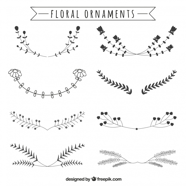 626x626 Vintage Floral Decorative Elements Vector Free Download