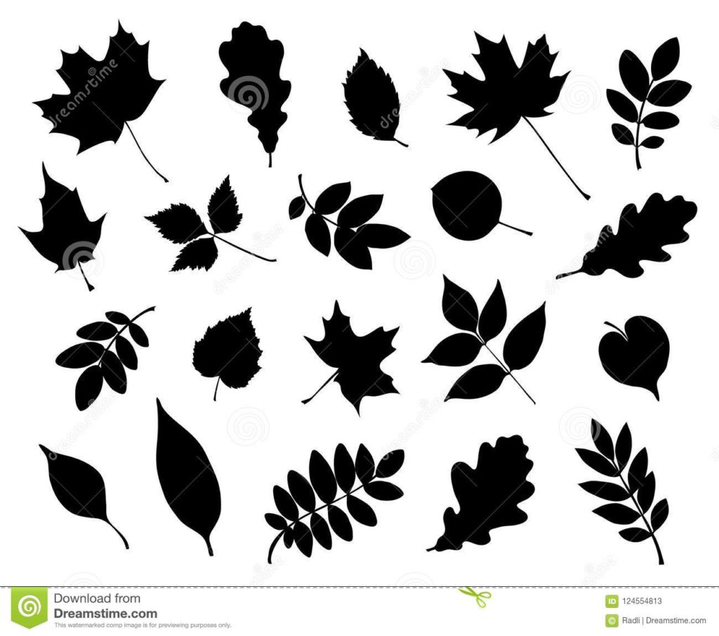 1024x906 Coloring Coloring Vector Set Of Decorative Autumn Leaf