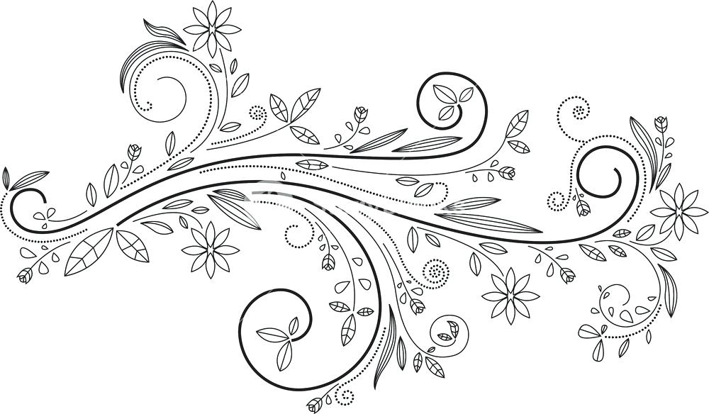 Vector Flowers And Swirls Png 1000x584 Vector Flowers And Swirls Png
