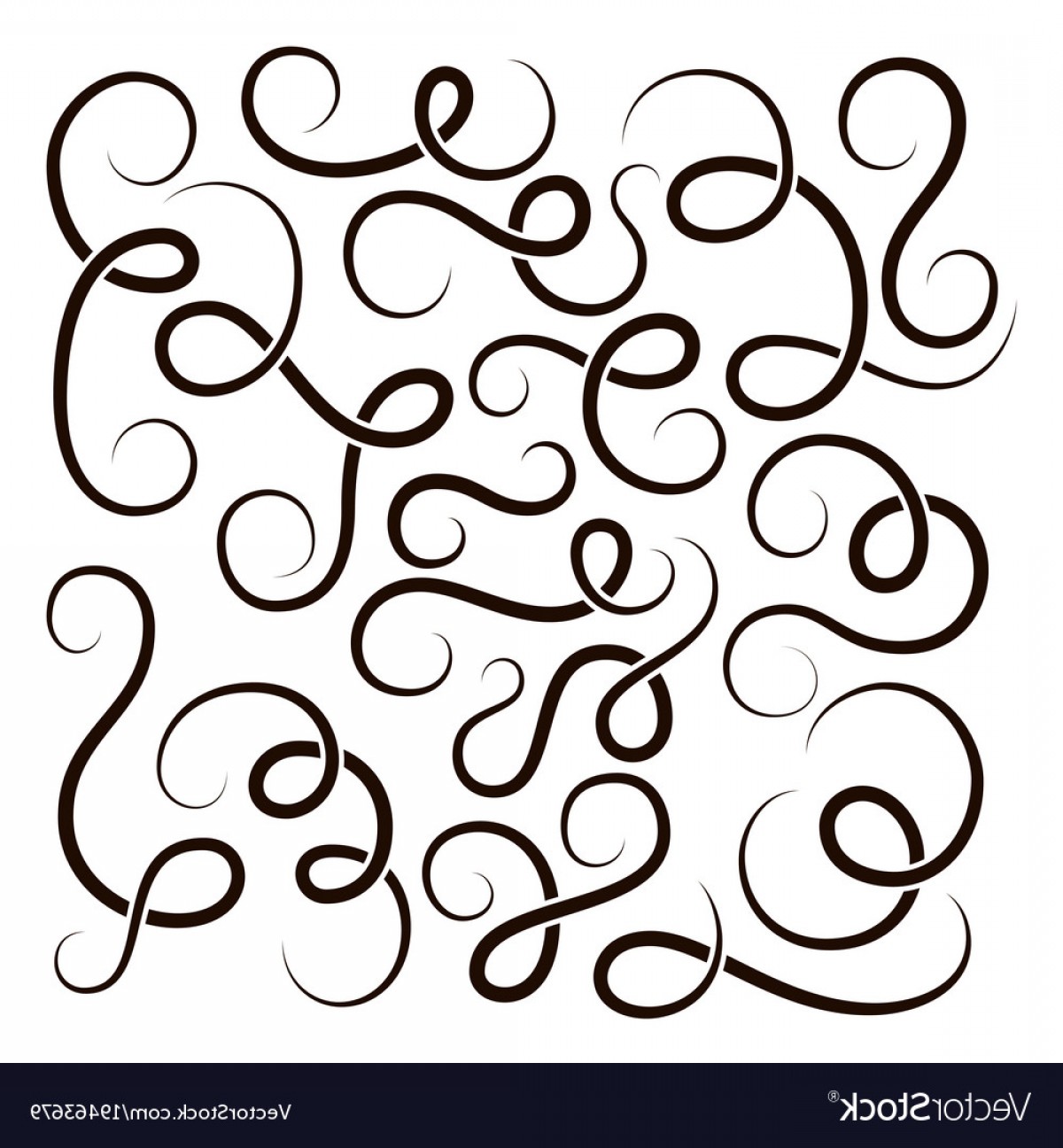 Decorative Swirl Vector Catamart 1200x1296 Decorative Swirl Vector Catamart