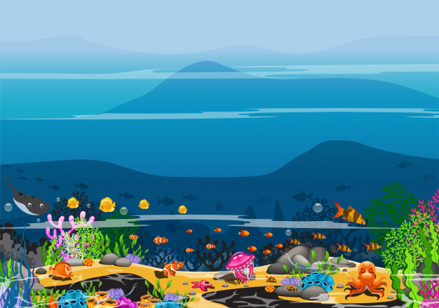 626x439 Deep Sea Life Vector Premium Download