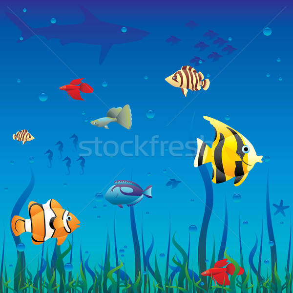 600x600 Deep Sea Vector Illustration Nikola