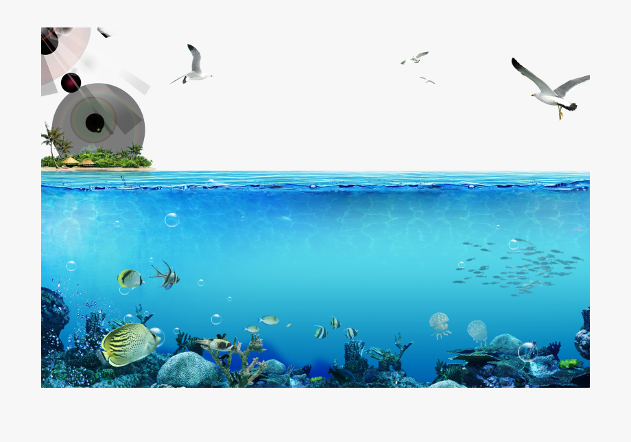 920x644 Ocean Vector Deep