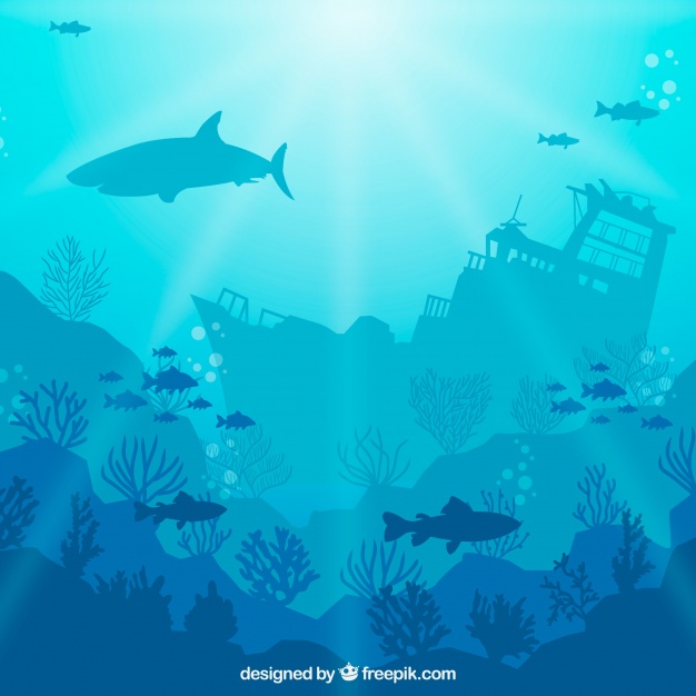 626x626 Deep Blue Sea Vectors, Photos And Free Download