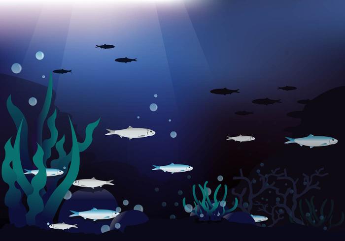 700x490 Deep Sea Sardines Vector Background