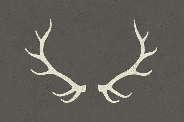 600x399 Antlers
