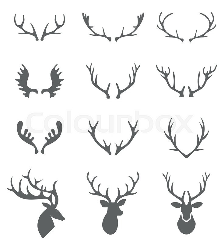 736x800 Hand Drawn Deer Antlers Vectors Stock Vector Colourbox